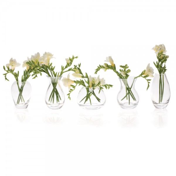 Glas-Väschen George | fünf Varianten