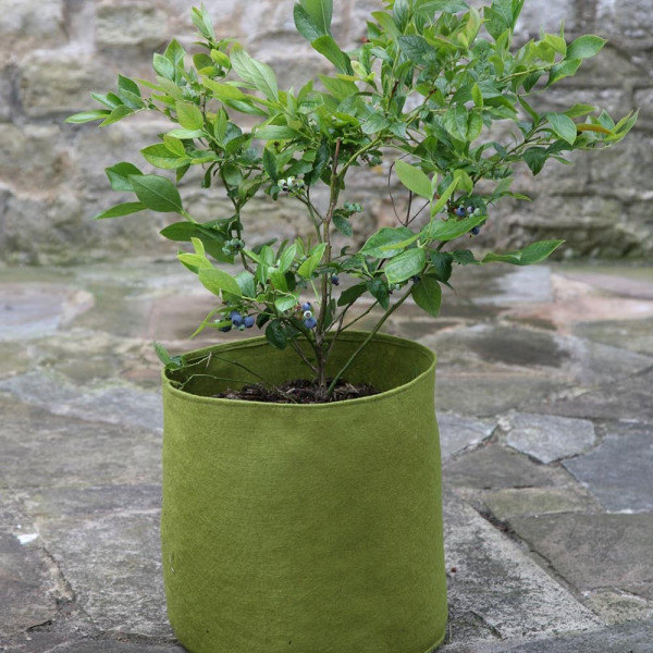 Vigoroot Pots 10 Liter