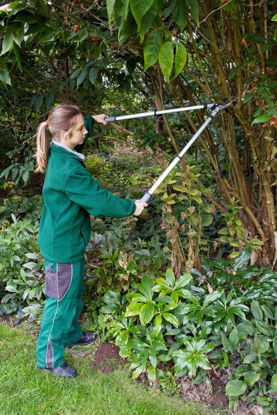 ausziehbare Amboss-Astschere von Burgon & Ball