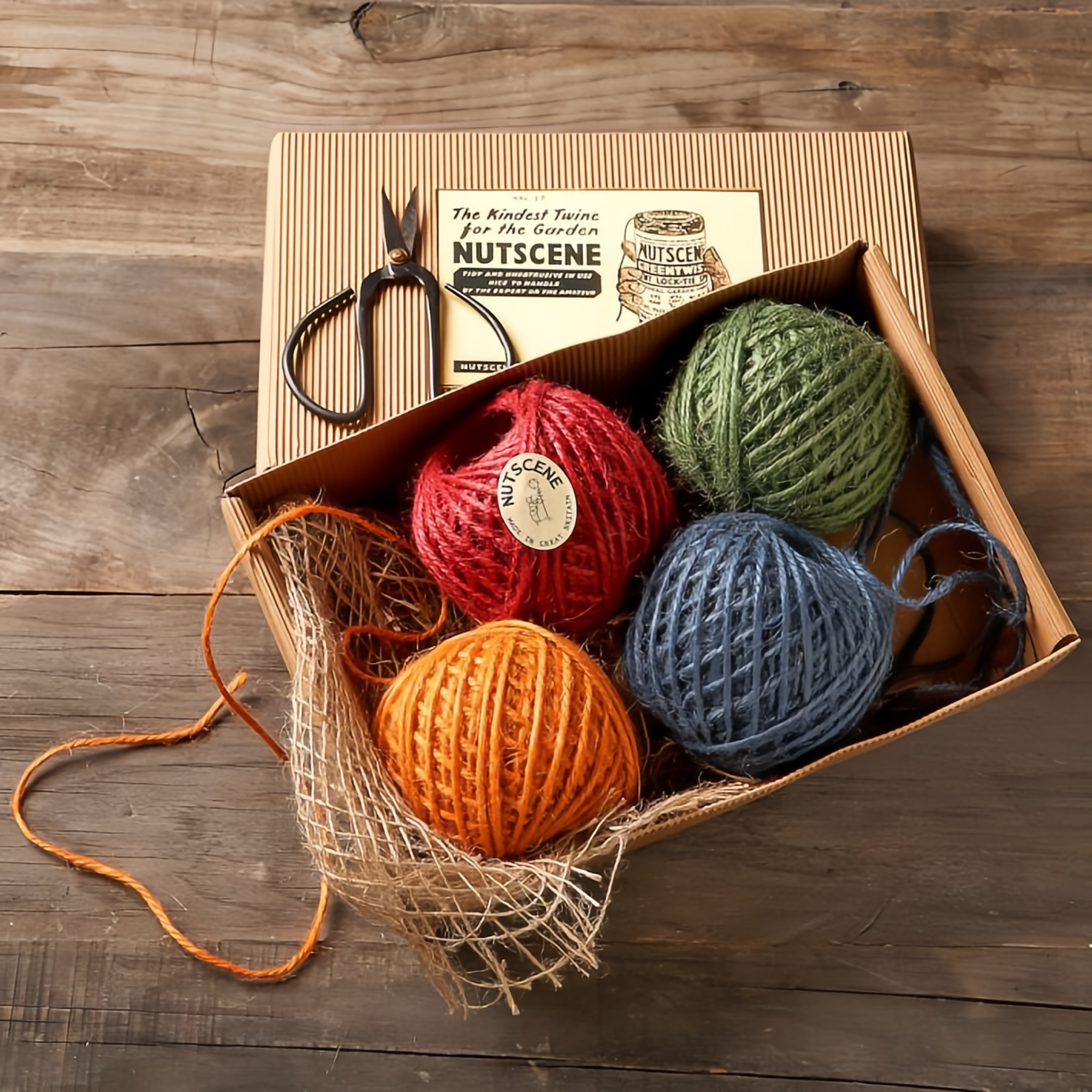 modal-view-newsletter